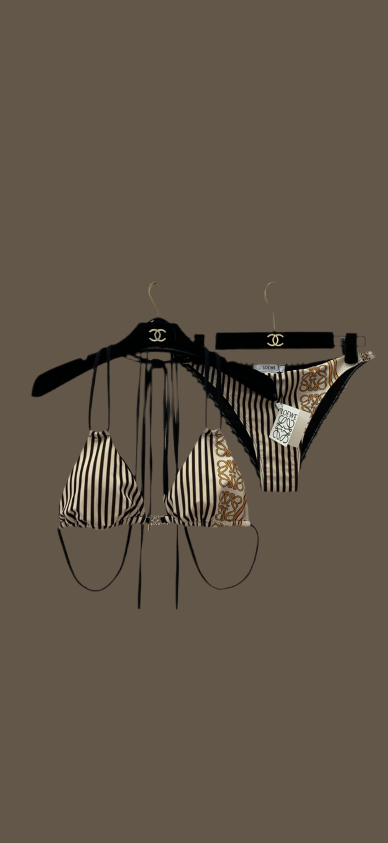 Loewe bikini Set